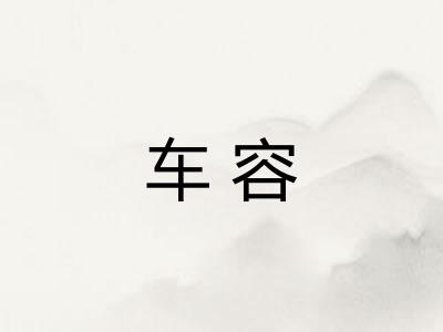 车容 车容