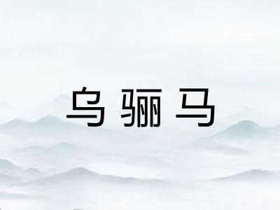 乌骊马 乌骊马