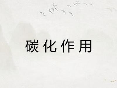 碳化作用 碳化作用