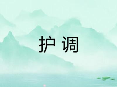 护调
