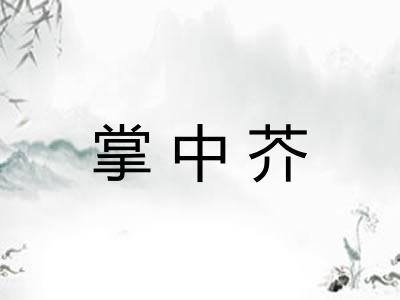 掌中芥 掌中芥