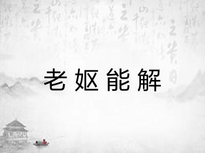 老妪能解