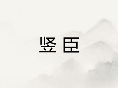 竖臣 竖臣