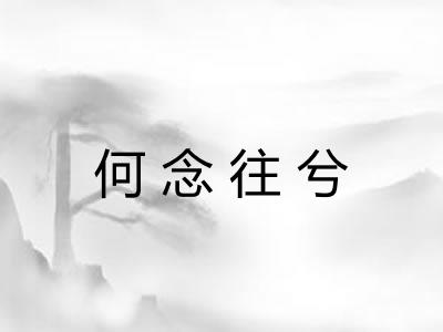 何念往兮 何念往兮