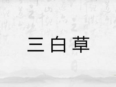 三白草