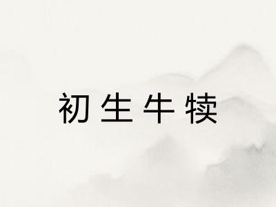 初生牛犊 初生牛犊