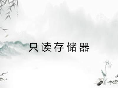 只读存储器 只读存储器