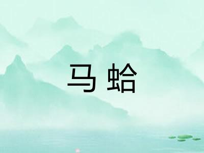 马蛤