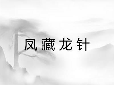 凤藏龙针 凤藏龙针