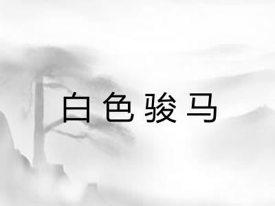 白色骏马 白色骏马