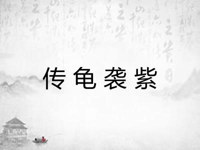 传龟袭紫 传龟袭紫