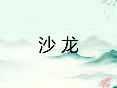 沙龙 沙龙