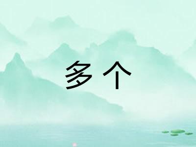 多个