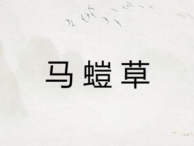 马螘草 马螘草