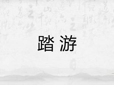 踏游