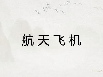 航天飞机 航天飞机