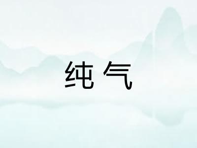 纯气 纯气