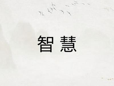 智慧 智慧
