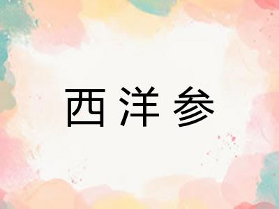 西洋参 西洋参