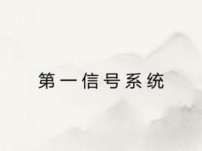 第一信号系统