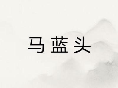 马蓝头