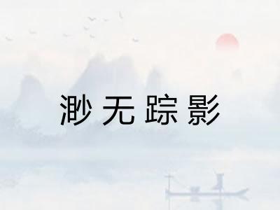 渺无踪影 渺无踪影