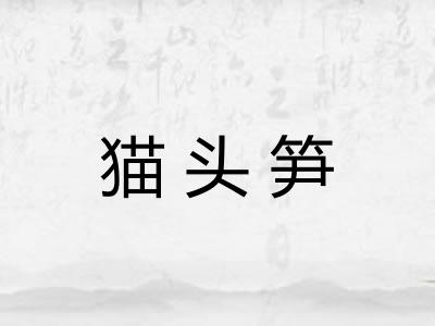 猫头笋 猫头笋