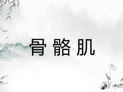 骨骼肌