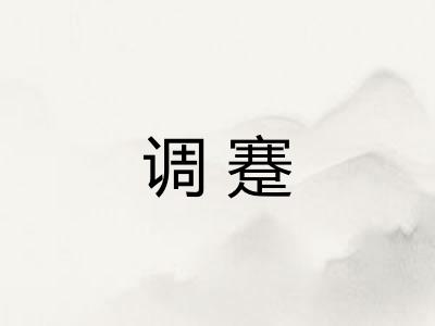 调蹇