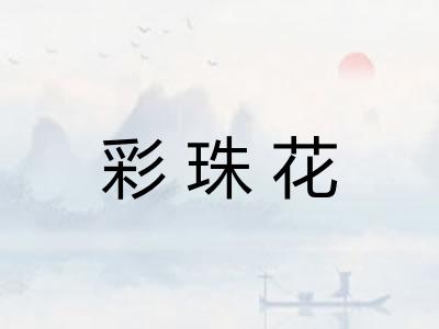 彩珠花 彩珠花