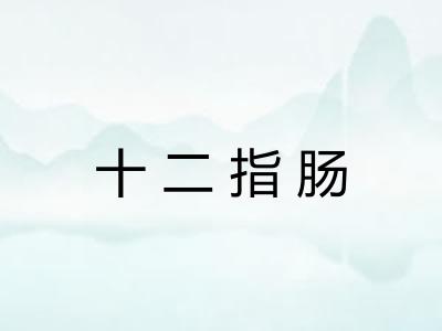十二指肠 十二指肠