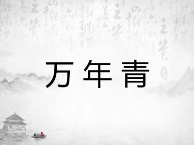 万年青