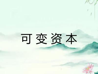 可变资本 可变资本