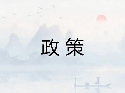政策 政策