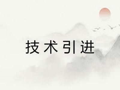 技术引进