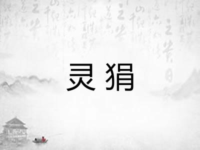 灵狷