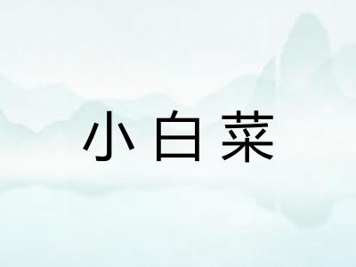 小白菜 小白菜