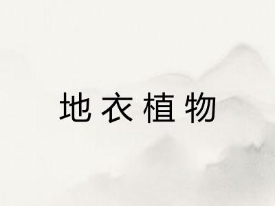 地衣植物 地衣植物