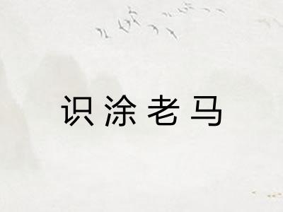 识涂老马 识涂老马