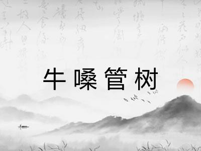 牛嗓管树 牛嗓管树