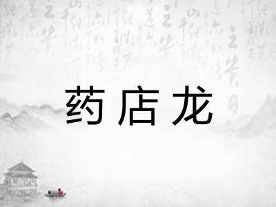 药店龙 药店龙