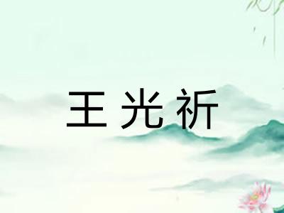 王光祈 王光祈