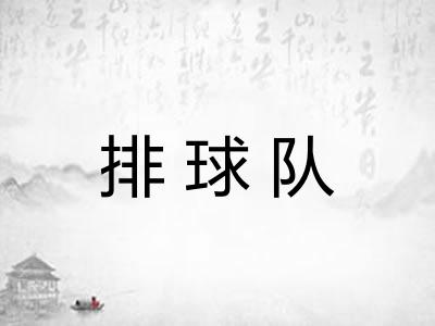 排球队