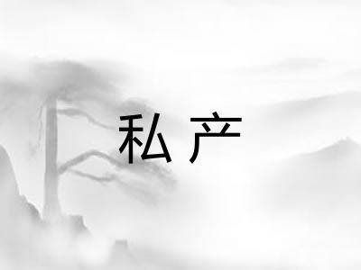 私产