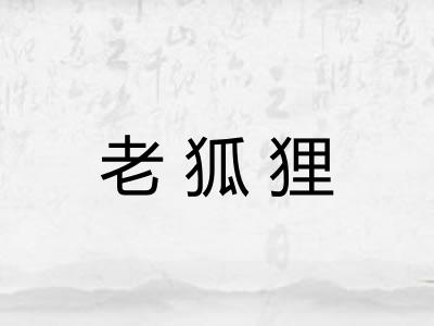 老狐狸 老狐狸