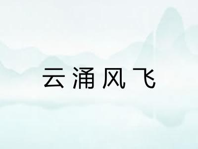 云涌风飞