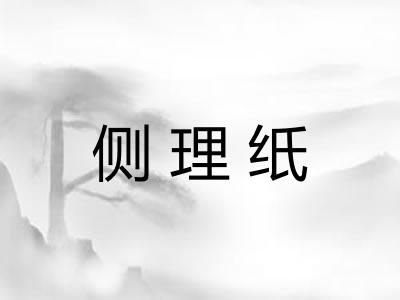 侧理纸