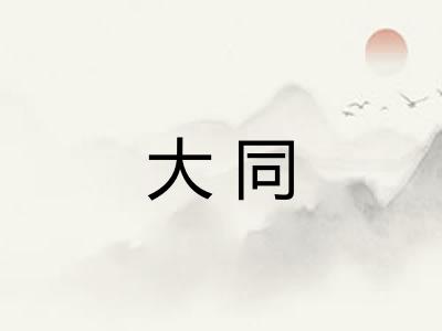 大同 大同