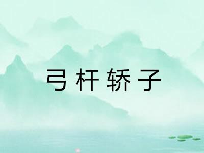 弓杆轿子 弓杆轿子
