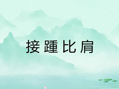 接踵比肩 接踵比肩